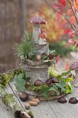 Floristic decorations with finds from the autumn forest