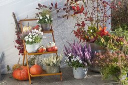 Orange flower staircase with pumpkins and heather