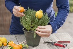 Thymian mediterran dekoriert mit Früchten und Blüten