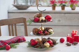 Etagere with cones, red balls and branches of Larix and Pinus