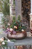 Copper bowl planted with Ilex, Carex petriei 'Bronce Form'