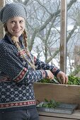 Woman harvesting spinach 'Matador' in the cold conservatory