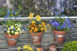 Balcony through the seasons