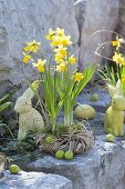 Daffodil with moss in the grass wreath