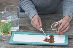 Cress as edible table decoration on turquoise saucer