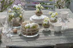 Oster-Tischdeko mit Hornveilchen auf der Terrasse