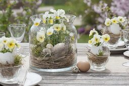 Easter table decoration with horned violets on the terrace