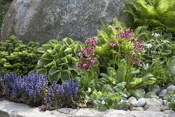 Vorgarten mit Stauden und Natursteinen