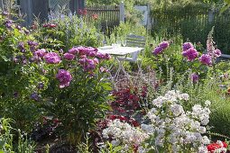 Seating between flowering perennials