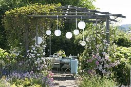 Pavilion with roses and wild wine