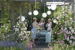 Pavillon mit Rosen und wildem Wein