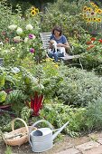 Seating in the late summer organic garden