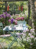 Table laid under the tree