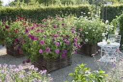 Gravel terrassse with raised beds made of hazelnut rods