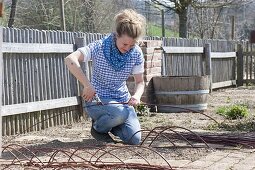 Plant tomatoes and marigolds in an organic garden bed