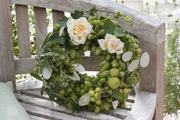 Green hops wreath with rose petals, Humulus lupulus (hops)