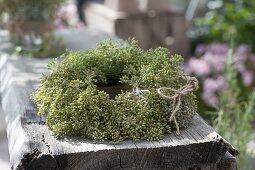 Herbstlicher Kranz aus Samenstaenden von Fenchel (Foeniculum)