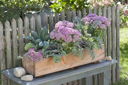 Homemade wooden box planted autumn