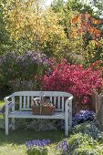 Seat on the autumnal bed with shrubs and perennials