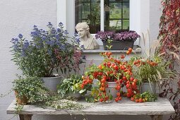 Table with autumn arrangement in front of window