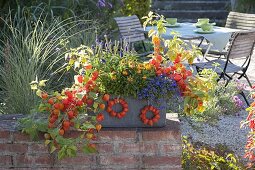 Autumnally planted slate box on garden wall