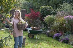 Autumn in the garden