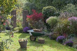 Herbst im Garten