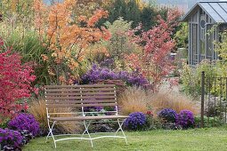 Indian Summer im Herbstgarten