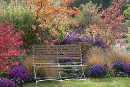 Indian summer in the autumn garden