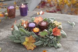 Autumnal wreath of Stachys byzantina leaves