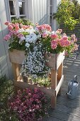 Self made raised bed as privacy screen on the balcony