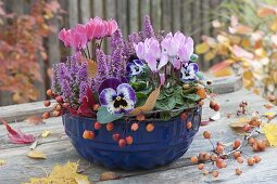 Blue enameled cake pan with autumn plants
