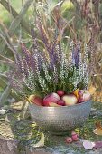 Silver bowl with Calluna Trio 'Beauty Ladies' (bud heather)