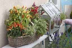 Balcony through the seasons