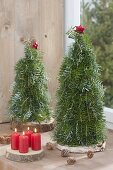 Tied Christmas trees from abies (fir) on wooden discs