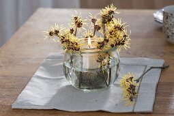 Lantern with Hamamelis 'Pallida' (witch hazel) branches