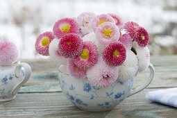 Straeusschen aus Bellis (Tausendschön) in Omas alter Bluemchentasse