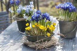 Frühling in blau-gelb auf dem Terrassentisch