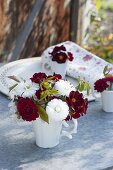 Red and white mini jar from Bellis, Primula