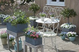 Spring terrace with gray boxes and tubs