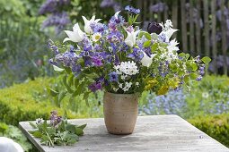 Frühlingsstrauss 'Quer durch den Garten' : Tulipa (Tulpen), Aquilegia