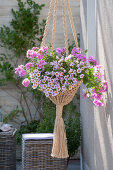 Hanging macrame basket with sisal and calibrachoa hula 'appleblossom'