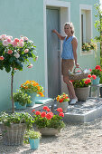 House entrance with rose stem and balcony flowers