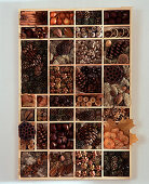 Seed tray with various dried seeds