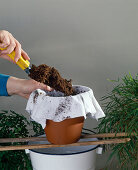 Softening water with peat