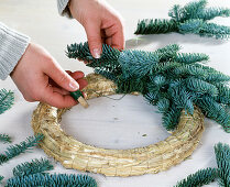 Tying an Advent wreath with fir branches. Step 1