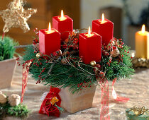 Advent wreath of pine