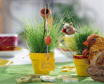 Miniature Easter grass seeded in small painted clay pots