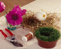 Anemone blossom in duck egg pot with sagina, hay, wire, duck egg and anemone blossom