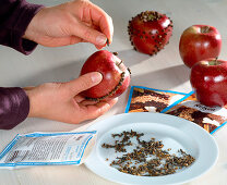 Decorate apples and cloves: Stick cloves into the apples as a pattern